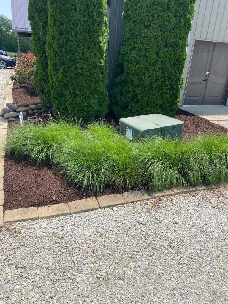 Maintained ornamental grasses, evergreens, and mulched landscaping